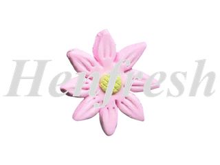 SI KCM Flat Daisy Pink (120)