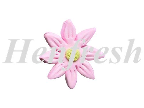 SI KCM Flat Daisy Pink (120)