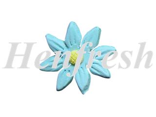 SI KCM Flat Daisy Blue (120)