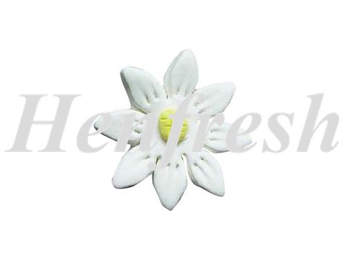 SI KCM Flat Daisy White (120)