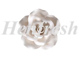 SI Single Old Fashion Rose White 7cm (9)