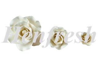 SI Mixed Size Roses Ivory  (15)