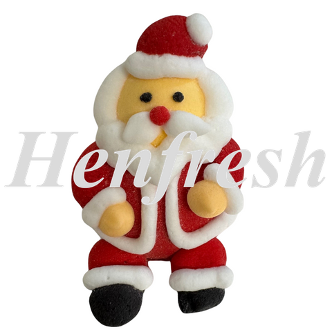 HD SS Sugar 3D Santa (10)