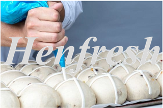 Bakels RTU Crossing Mix Piping Bag 10x1kg