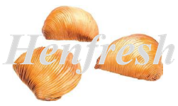 Sgiorgio Sfogliatella Riccia Mignon 35g 6kg