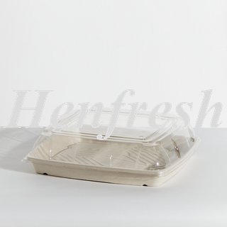 PP Bioway Clear Lid Large Platter (50)