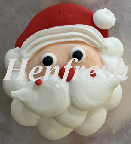 HD Y1421 Sugar Santa Face (90)