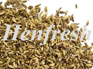 Fennel Seed Whole 20kg
