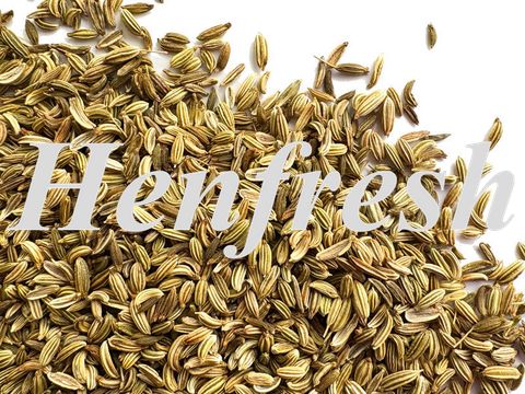 Fennel Seed Whole 20kg