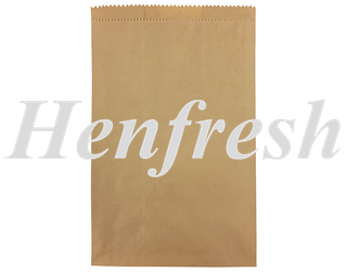 8F Long Sponge Brown Bags (500)