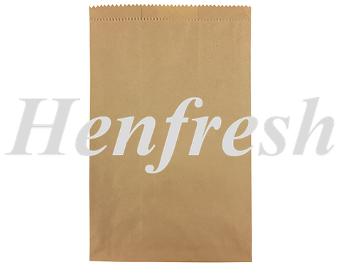 8F Long Sponge Brown Bags (500)
