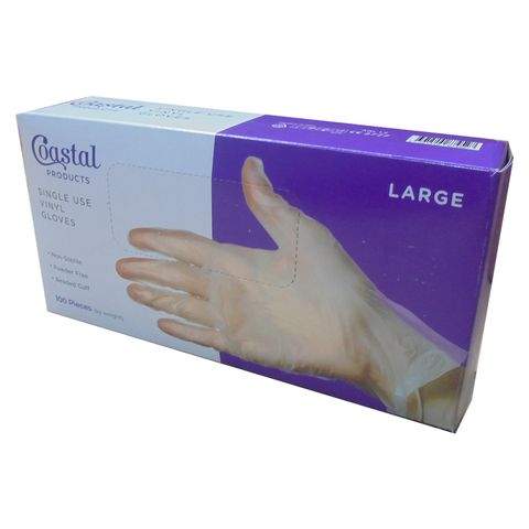 GLOVES VINYL POWDER FREE LARGE BOX