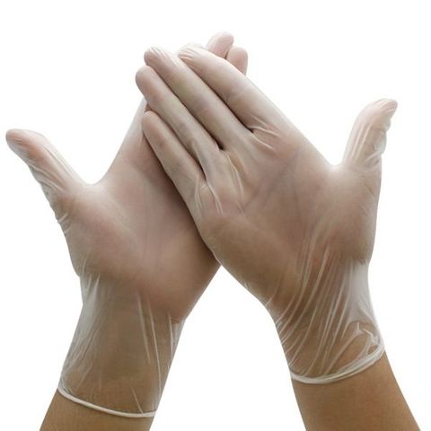 GLOVES VINYL POWDER FREE LARGE CTN