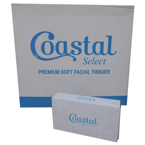 FACIAL TISSUE 2 PLY 100'S CTN