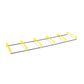 SKLZ ELEVATION LADDER
