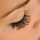 Lash Extensions