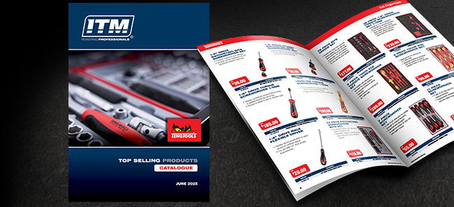 <h2>TENG TOP SELLING PRODUCTS<br>CATALOGUE</h2><p>Selection of our best-selling products</p><button>View The Catalogue</button>