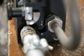 HOLEMAKER AIR 50, 2MT PNEUMATIC MAGNETIC BASE DRILL, ATEX 11 CERTIFIED, CAP: 50MM DIA X 45MM