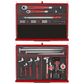 TENG 1133PCE PRO35 53" 19 DRAWER MONSTER STACK FOAM ROLL CABINET TOOL KIT, METRIC RED