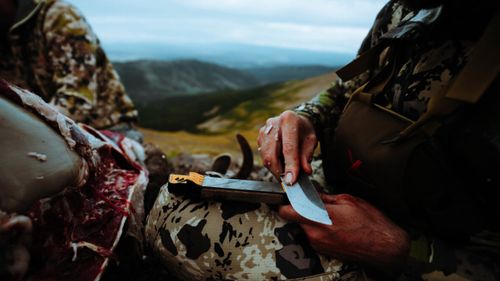 How to Sharpen a Hunting Knife