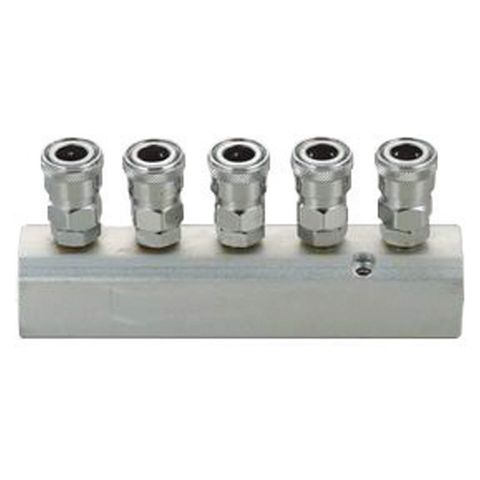THB IN LINE MOUNTABLE MANIFOLD 5 WAY, INCLUDES COUPLERS