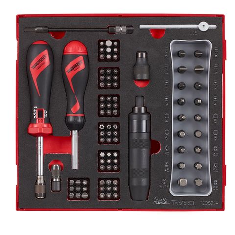 TENG 95PCE TORQUE SCREWDRIVER SET 1-5NM (EVA) - TED-TRAY