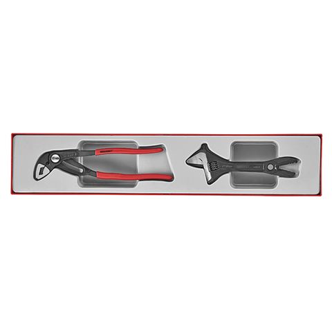 TENG 2PCE PLIER/ADJUSTABLE WRENCH SET - TTX-TRAY