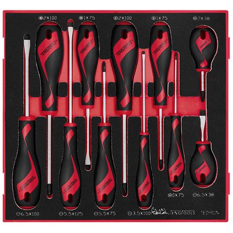 TENG 11PCE MD SCREWDRIVER SET - TED-TRAY