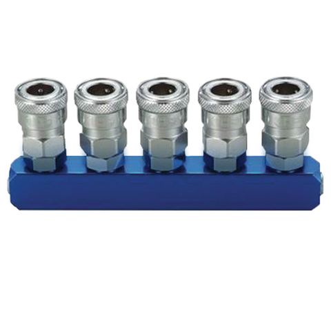 THB MANIFOLD, 5 WAY WITH STANDARD COUPLERS