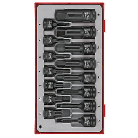 TENG 15PCE 3/8" &1/2" DR. MM HEX SOCKET SET - TC-TRAY