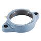 LF / FD / FW / FLCT (2 Bolt Oval Flanged)