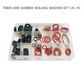 RUBBER & FIBRE WASHER KIT