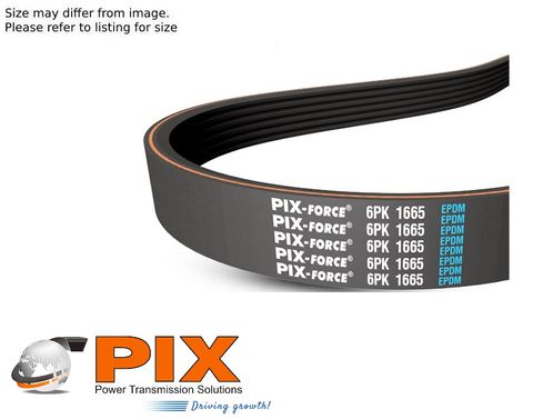 PIX RBK - Multrib Auto Belt