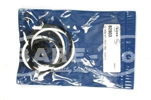 O Ring Kit Ford 2000-3000Hyd