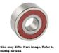 Generic - Double Row Deep Groove Ball Bearing