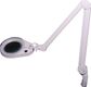 Magnifying Lamp - Led Lights With G Clamp