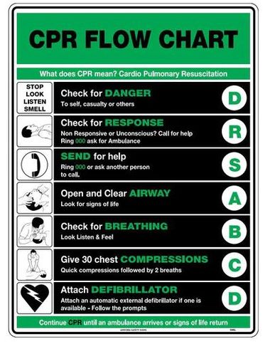 SAFETY POSTER - Basic Life Support Flowchart (CPR)