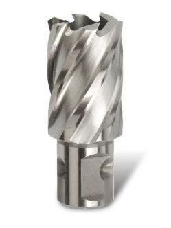 Bordo - 22 x 25mm HSS-M2AI Annular Cutter