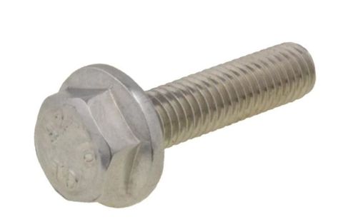 Flanged HexBolt - 304 SS - M6x20 (Box=100)