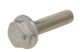 Flanged Hex Bolt