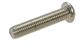 Button Head Socket Screw - SS 304 M10x 25 (Box=50)