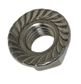 Serrated Flange Hex Nut 304 SS - M5 (Box=100)