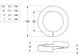Neptune Spring Washer 316SS M6 (Box=100)