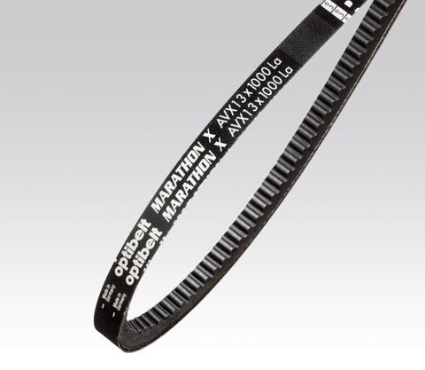 Opti Notched Auto Belt