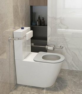 Wellness Toilet