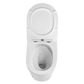 Alzano Wall Face Pan Hurricane Flush Matte White with R&T Cistern, No Push Plate