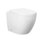 Voghera Rimless Wall Face Pan STD Seat