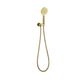 Pavia Brushed Gold Handheld Shower Set Round