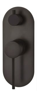 Roul Diverter Shower Mixer Gun Metal