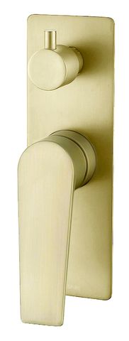 Zevio Diverter Shower Mixer Brushed Gold